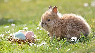 Ostern Ostern