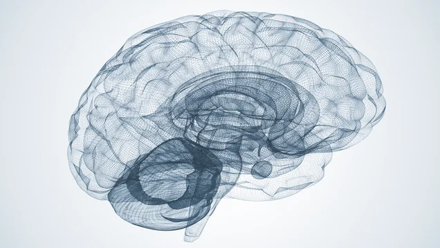 Eine gestörte Signalübertragung zwischen den Nervenzellen kann zu den typischen Problemen führen. Eine gestörte Signalübertragung zwischen den Nervenzellen kann zu den typischen Problemen führen.
